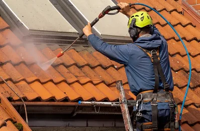 Démoussage et hydrofuge de toiture à Vourey